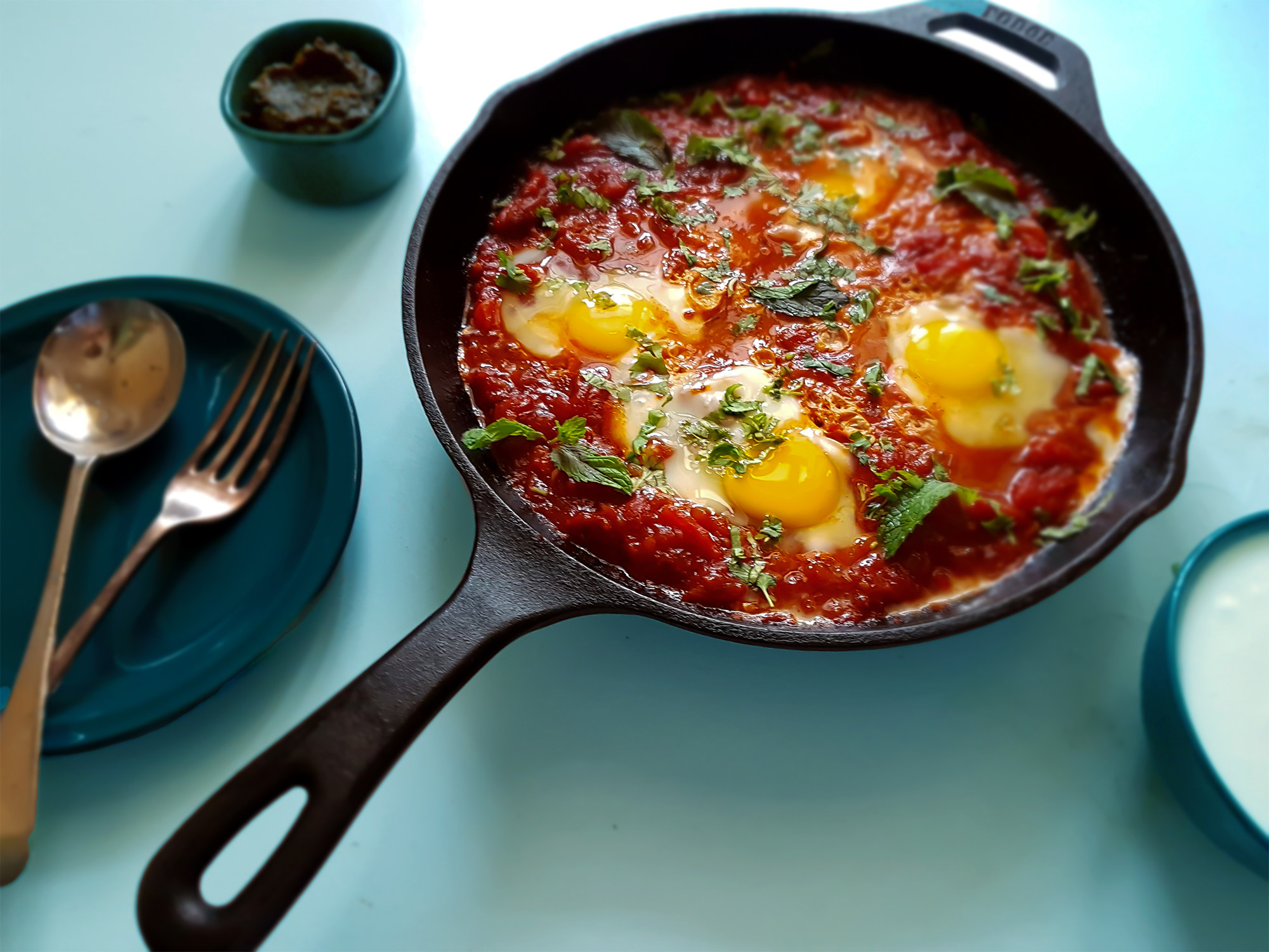 Israeli Chefs bring Sabra Flavor to the Table and into your Kitchen