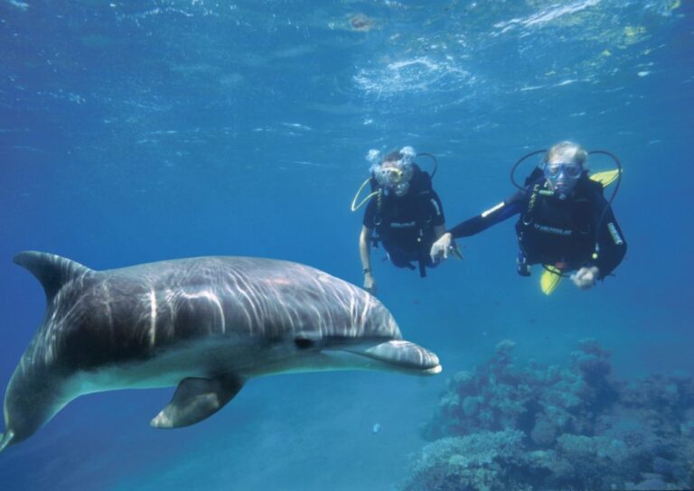 Adventure Tours