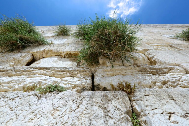 Touring Israel